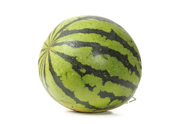 Natte watermeloen — Stockfoto