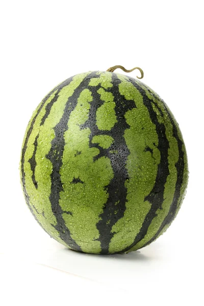 Melon d'eau humide — Photo