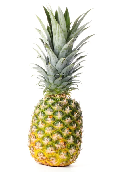 Cały ananas Obrazek Stockowy