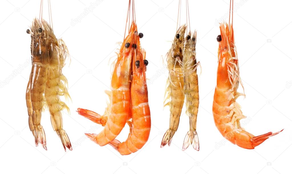 Shrimps heap