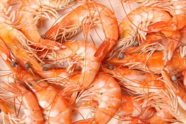 haşlanmış karides