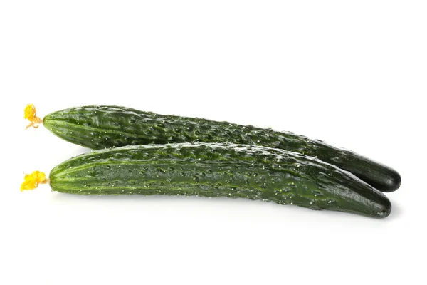 Lange komkommers — Stockfoto