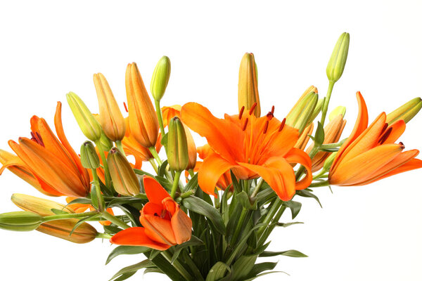 Lilies bouquet