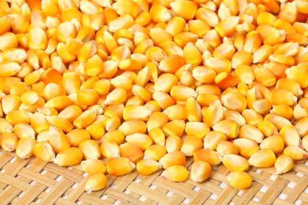 Corn grains — Stock Photo, Image