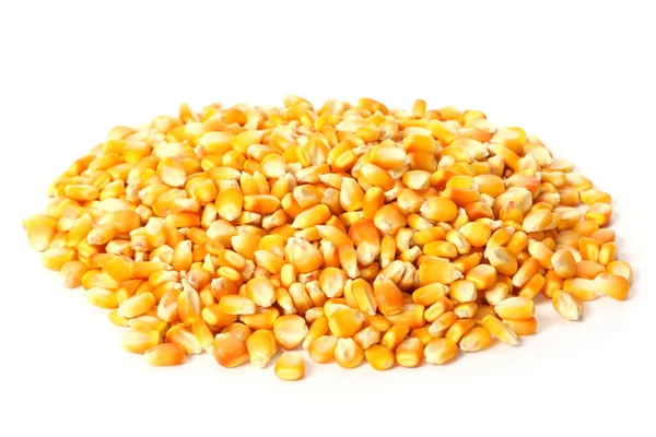 トウモロコシの穀物 — ストック写真
