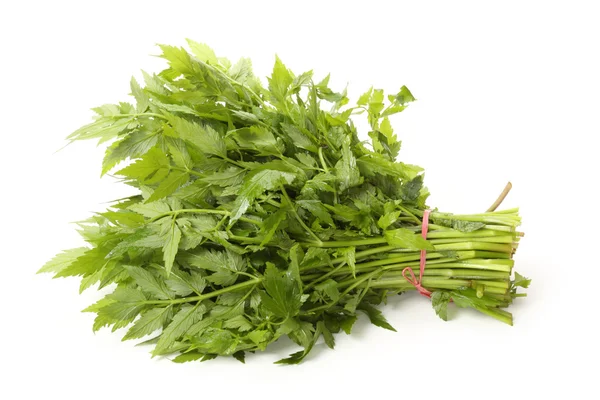 Celery bunch — Stock Photo, Image