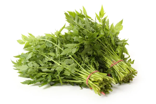 Celery bunches — Stock Photo, Image
