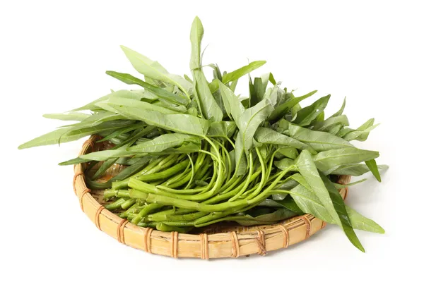 Tray of Water spinach — Stock Photo, Image