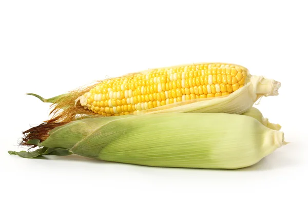 Кукурудза цукрова — стокове фото