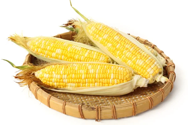 Tray of sweet corn — Stock Photo, Image