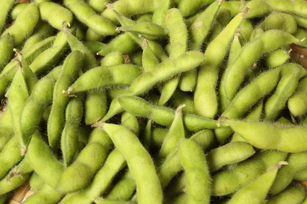 Harvested soybeans — Stock Photo, Image