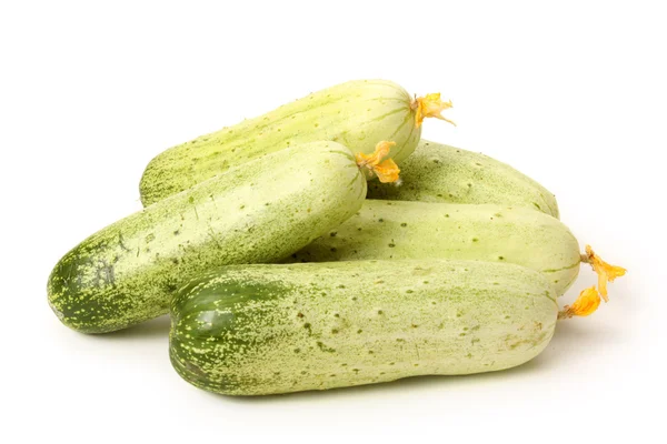 Green cucumbers — Stock Photo, Image