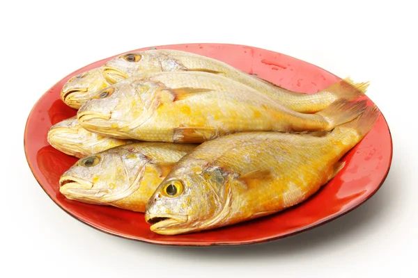 Croaker Fishes — Stock Photo, Image