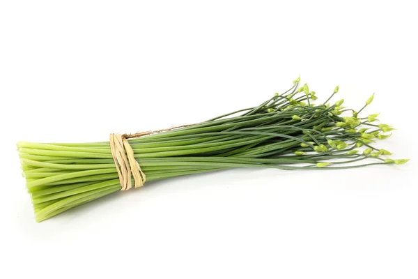 Chive flower — Stock Photo, Image