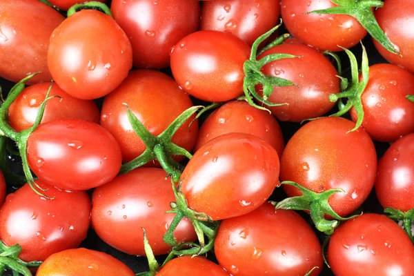 Kirschtomaten — Stockfoto