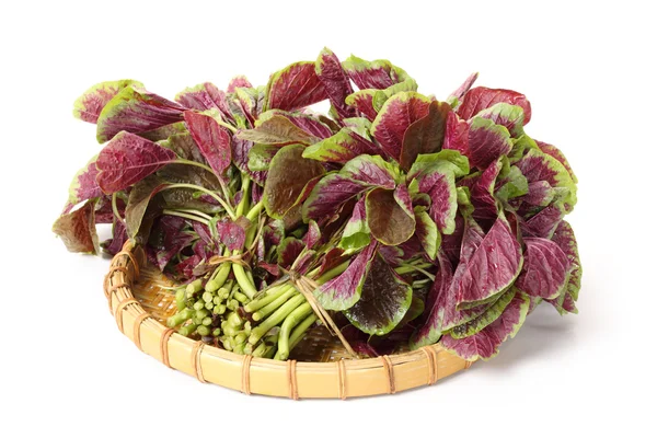 Tray of Amaranth bunch — Stock Photo, Image