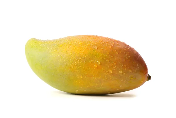 Egzotik mango — Stok fotoğraf