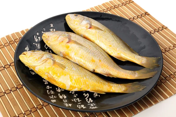 ニベ科の魚 — ストック写真