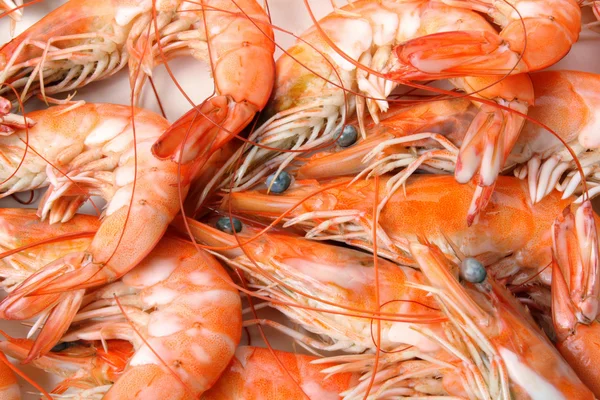 Boiled shrimps — Stock Photo, Image