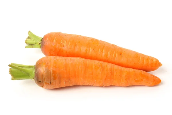 Two carrots — Stock Photo, Image