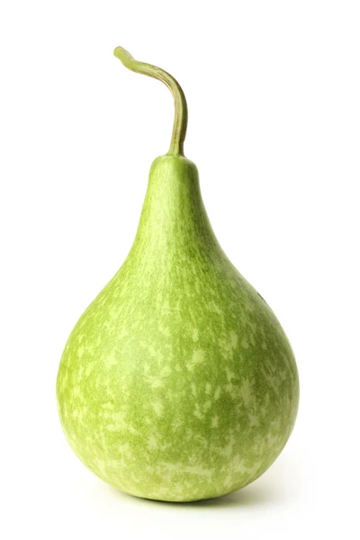Зелений gourd — стокове фото