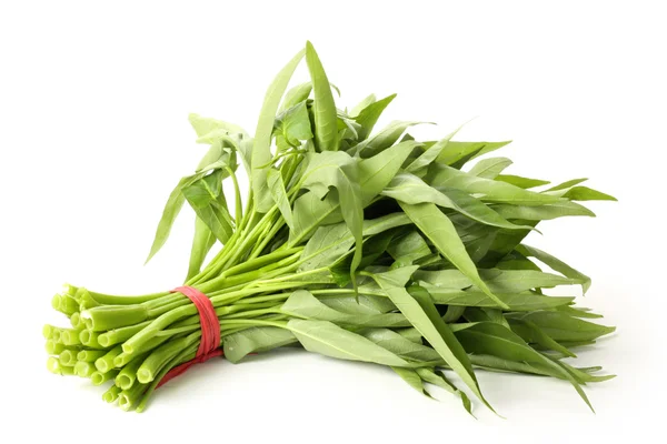 Water spinach — Stock Photo, Image