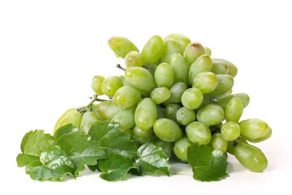 Виноград с листьями — стоковое фото