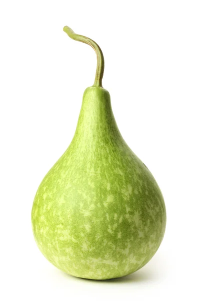 Green gourd Stock Photo