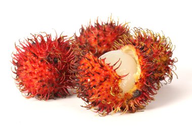 Rambutan fruits clipart