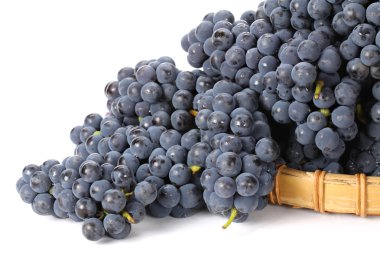 Kara üzüm