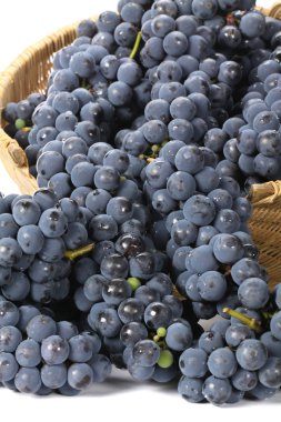 Kara üzüm