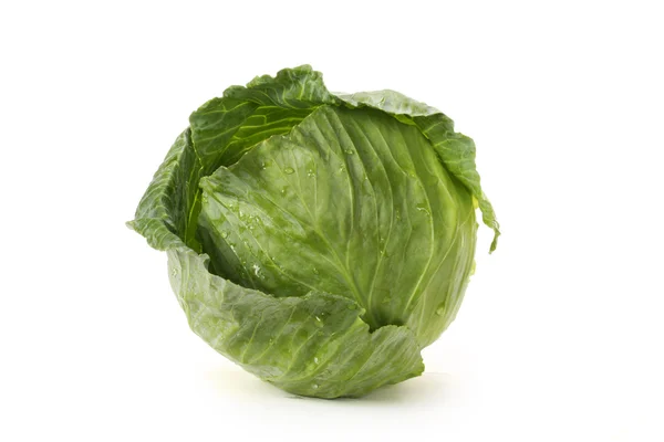 Green cabbage — Stock Photo, Image