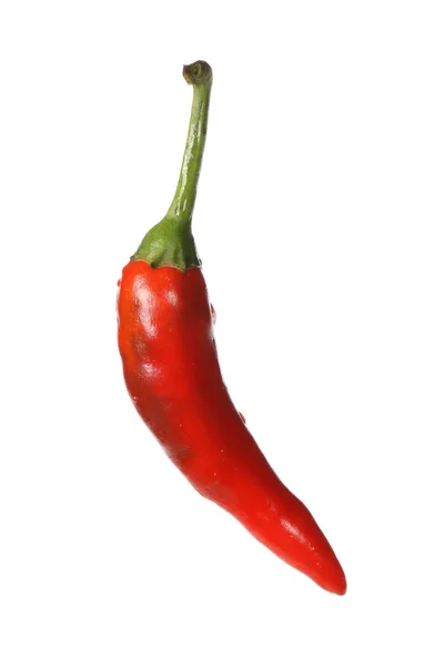 Mexikói paprika — Stock Fotó