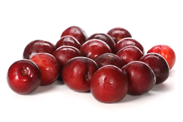 Red plums fruit — Stock Photo, Image