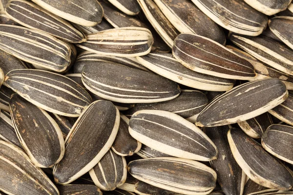 Sunflower seeds — Stock Photo, Image