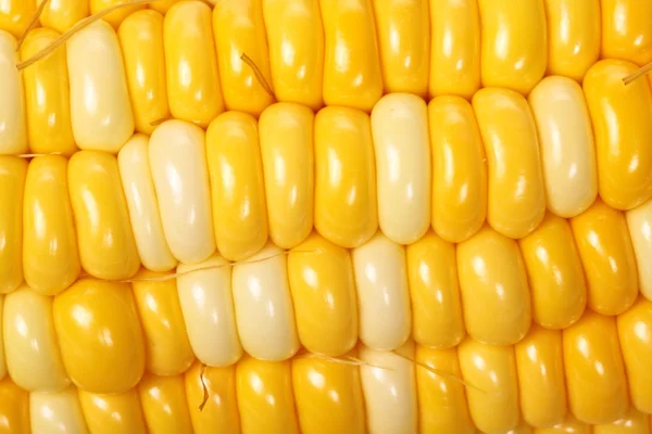 Boiled corn — Stock Photo, Image