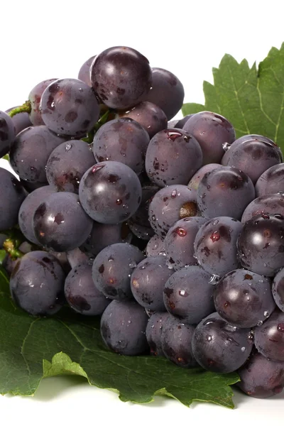 Виноград з листя — стокове фото