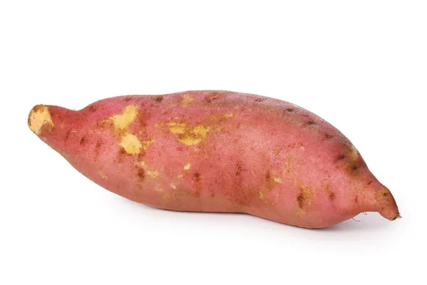 Zoete aardappel — Stockfoto