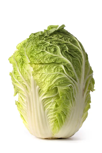 Chinese cabbage — Stock Photo, Image