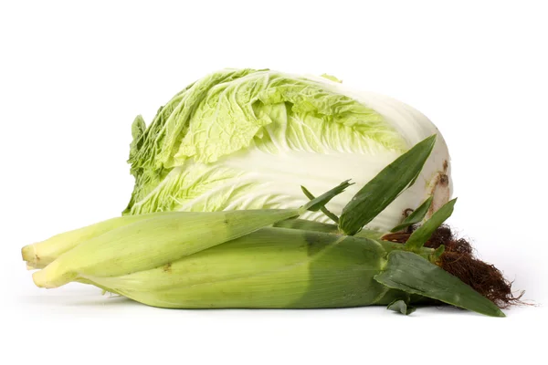 Cabbage and corn — Stock Photo, Image