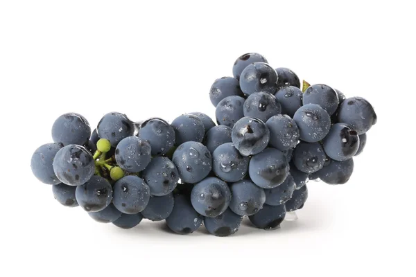 Grapes bunch — Stock Photo, Image