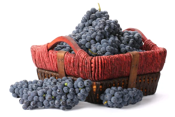 Basket of ripe grapes — Stock Photo, Image