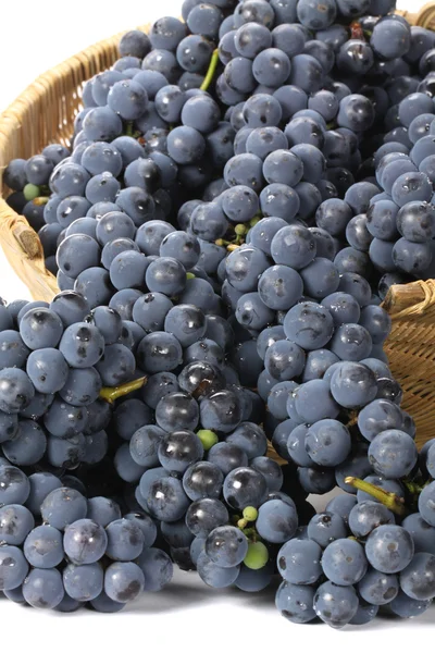 Sötét szőlő — Stock Fotó