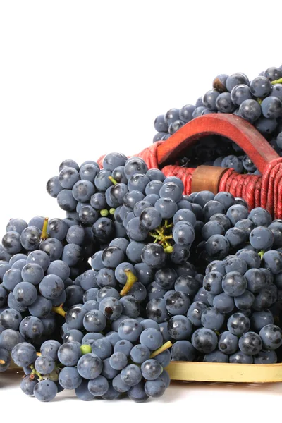 Basket of ripe grapes — Stock Photo, Image