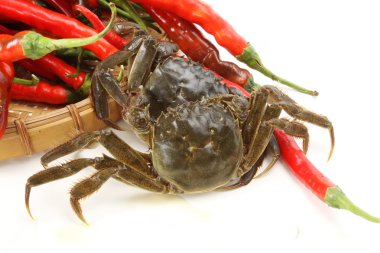 yengeçler kırmızı biber ile