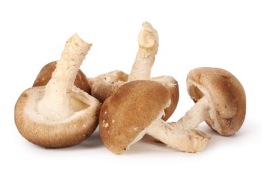 yığın shiitake mantar