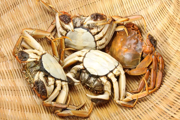 Panier de crabes — Photo