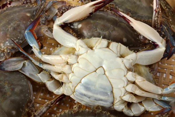 Crabs heap — Stock Photo, Image