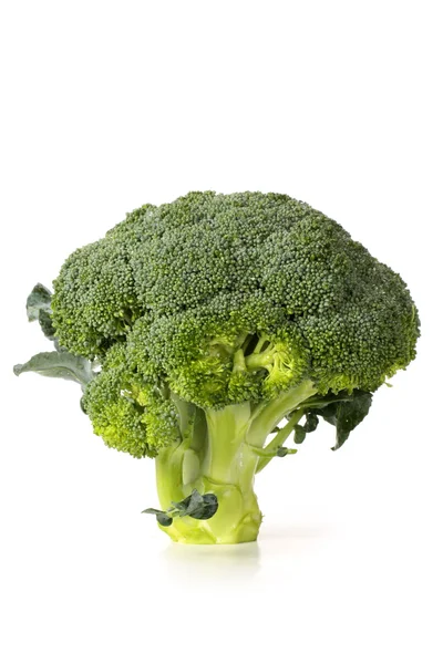 Couve-brócolis madura — Fotografia de Stock
