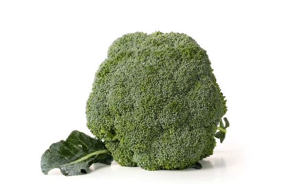 Mogen broccoli kål — Stockfoto